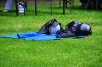 Zdjęcie: ZLOT MOTOCYKLOWY LESZNO 2014