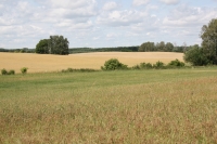 Zdjęcie: NASZA WIELKOPOLSKA - wyjazd klubowy 13.07.2014