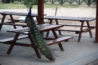 Zdjęcie: NASZA WIELKOPOLSKA - wyjazd klubowy 13.07.2014