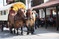 Zdjęcie: NASZA WIELKOPOLSKA - wyjazd klubowy 13.07.2014