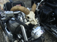 Zdjęcie: BIKERSI NA ROUTE 66 SK