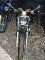 Zdjęcie: BIKERSI NA ROUTE 66 SK