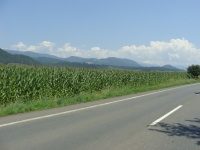 Zdjęcie: BIKERSI NA ROUTE 66 SK