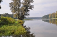 Zdjęcie: VII PIKNIK COUNTRY W WYSZANOWIE...