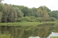 Zdjęcie: VII PIKNIK COUNTRY W WYSZANOWIE...