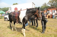 Zdjęcie: VII PIKNIK COUNTRY W WYSZANOWIE...