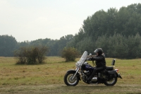 Zdjęcie: VII PIKNIK COUNTRY W WYSZANOWIE...
