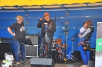Zdjęcie: KONCERT I AUKCJA CHARYTATYWNA DLA DOMINIKA