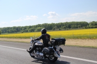 Zdjęcie: Wypad do Zamku w Mosznej 16.05.15