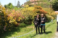 Zdjęcie: Wypad do Zamku w Mosznej 16.05.15