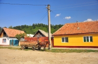 Zdjęcie: RUMUNIA 2015